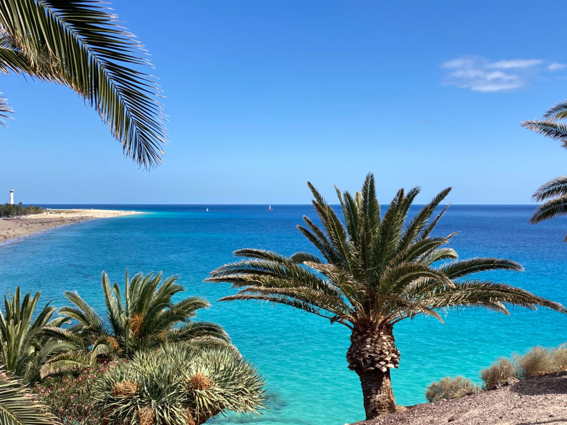 Blick über die türkisfarbene Küste bei Morro Jable mit Palmen im Vordergrund und Sandstrand am Horizont