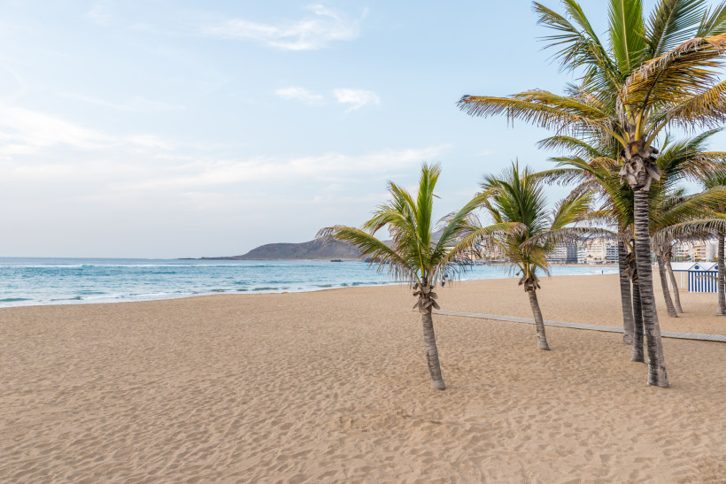 Playa de Las Canteras in Las Palmas de Gran Canaria mit Sandstrand, Palmen und ruhigem Meer