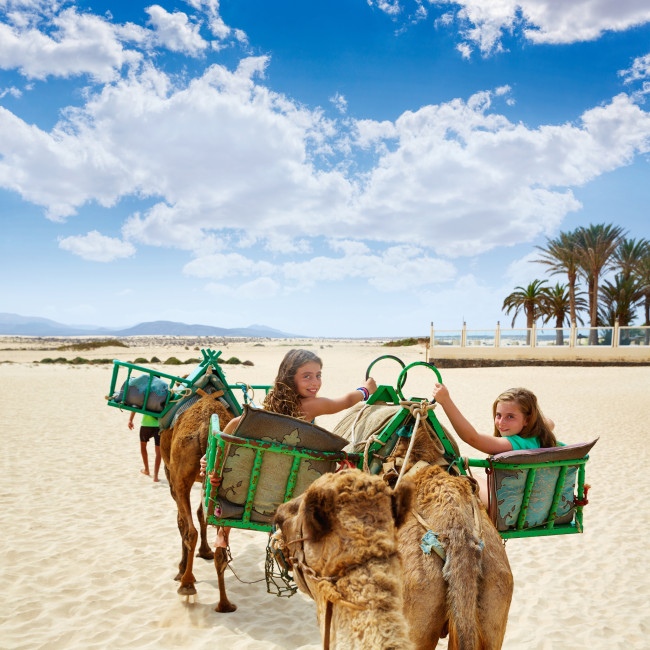 Fuerteventura Zwei Mädchen sitzen lachend auf Kamelen in grünen Sätteln, unterwegs durch eine helle Wüstenlandschaft mit Palmen im Hintergrund unter blauem Himmel.