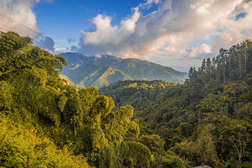 Blue Mountains Jamaika – Panoramablick auf die Berge Panoramablick auf die Blue Mountains, Jamaika – grüne Berglandschaft mit dichter Vegetation.
