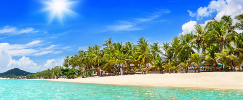 Tropischer Palmenstrand auf Koh Samui mit türkisfarbenem Meer und strahlend blauem Himmel