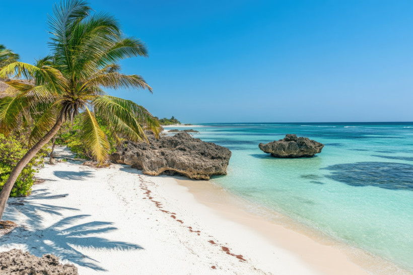 tropischer einsamer Strand, Palmen, türkisblaues Wasser