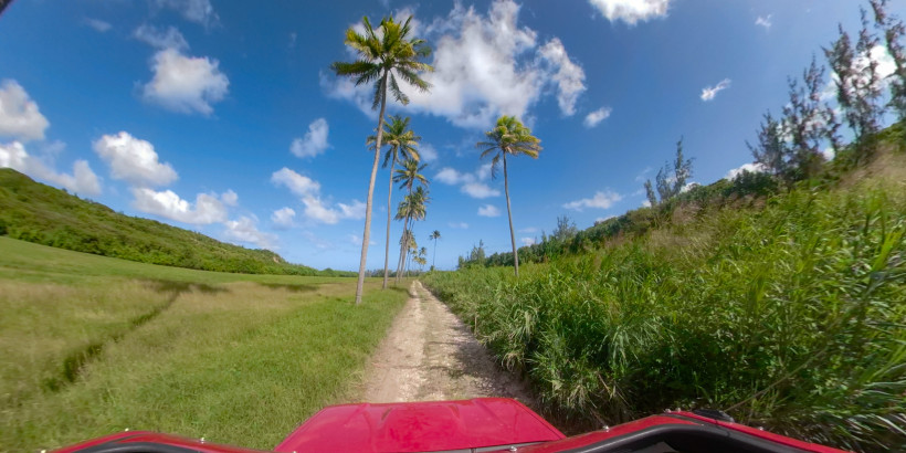Barbados Sicht aus einem Auto heraus. Leere unbefestigte Straße verläuft unter Palmen und um die üppige ländliche Landschaft