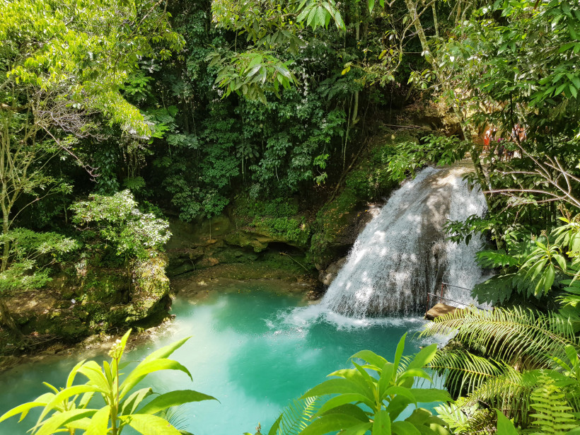 Jamaika Ein kleiner, malerischer Wasserfall inmitten dichter, tropischer Vegetation in Jamaika. (  Blue Hole bei Ocho Rios ) Das Wasser fällt in ein türkisfarbenes, klares Naturbecken, umgeben von grünen Farnen und Bäumen. Sonnenlicht fällt stellenweise durch das
