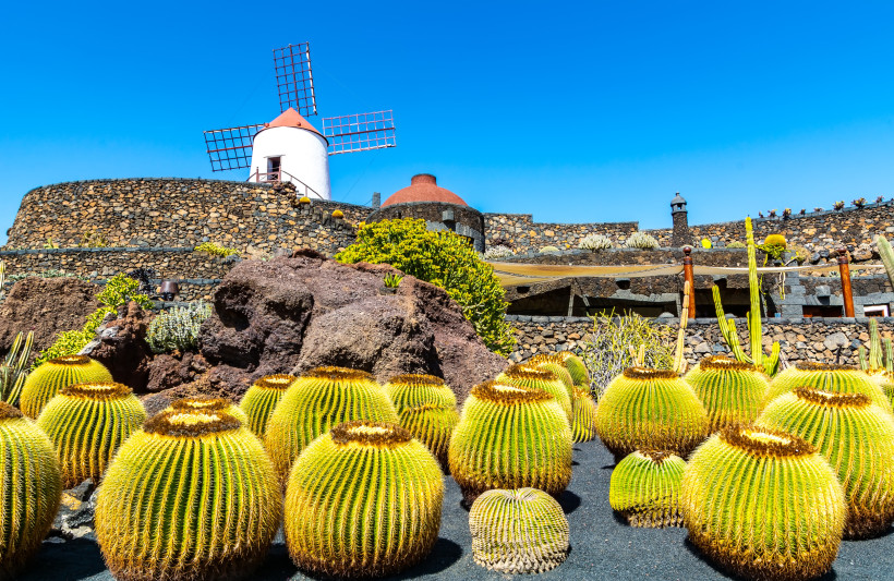 Jardín de Cactus auf Lanzarote mit unzähligen Kakteenarten, Lavagestein und traditioneller Windmühle von César Manrique