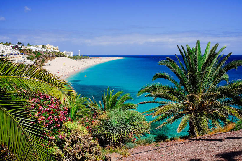 Fuerteventura Blick auf einen langen, hellen Sandstrand mit türkisblauem Meer, gesäumt von Palmen, tropischen Pflanzen und Hotelanlagen. Im Hintergrund ein Leuchtturm am Horizont.