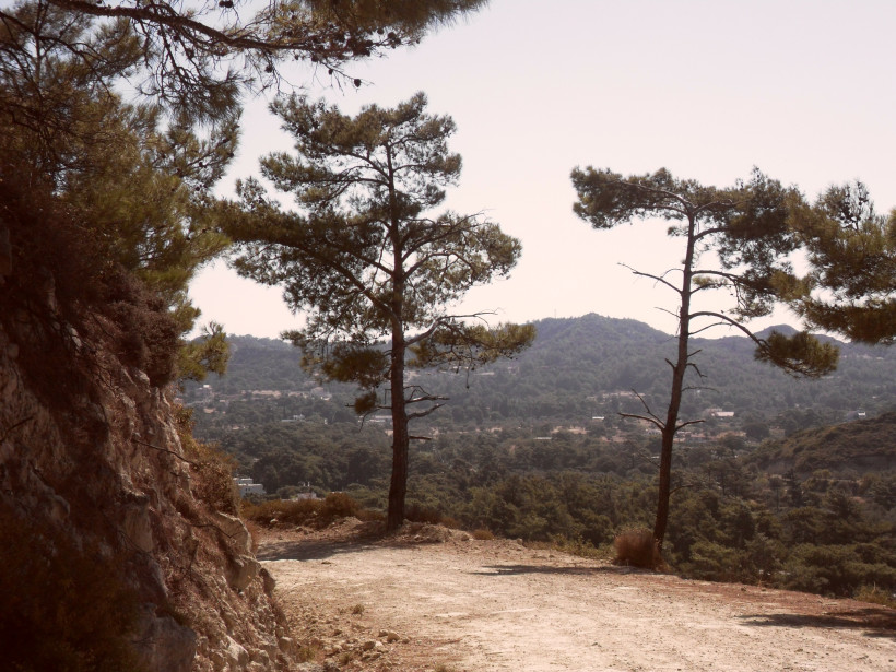 Kos Staubiger Wanderpfad mit zwei Pinienbäumen am Rand, Blick über bewaldetes Tal mit Hügeln und verstreuten Häusern unter klarem Himmel.