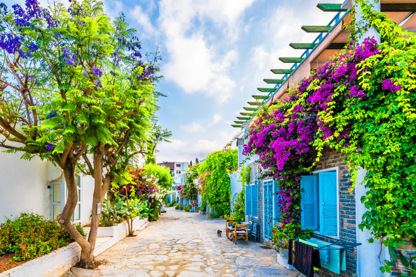 Türkei - Bodrum Romantische Gasse in Bodrum mit weiß getünchten Häusern, blauen Fensterläden und blühenden Bougainvillea