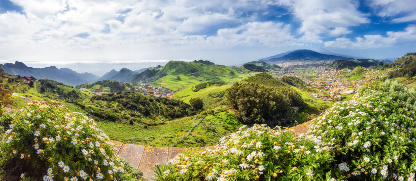 Teneriffas grüne Landschaft mit Blick auf den Teide – Naturparadies für Wanderfreunde Panoramablick auf grüne Berge und das Teide-Massiv auf Teneriffa mit blühenden Margeriten im Vordergrund