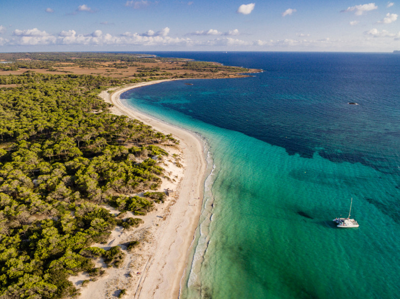 Luftaufnahme der Platja Es Carbó mit langem Sandstrand, Pinienwald und türkisblauem Meer