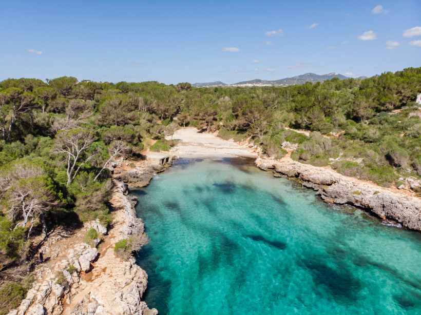 Bucht Cala Sa Nau auf Mallorca mit sandigem Strand, Felsen und türkisfarbenem Wasser, umgeben von Pinienwald