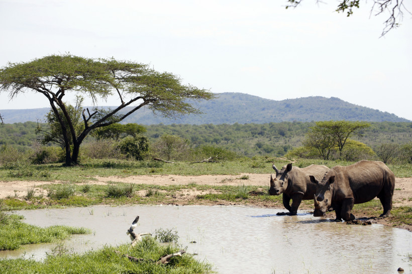 Hluhluwe Imfolozi Park