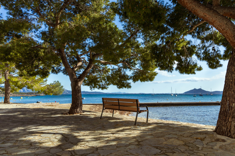 Bank unter Pinien am Uferweg Pine Walk in Port de Pollença mit Blick über die Bucht und Segelboote