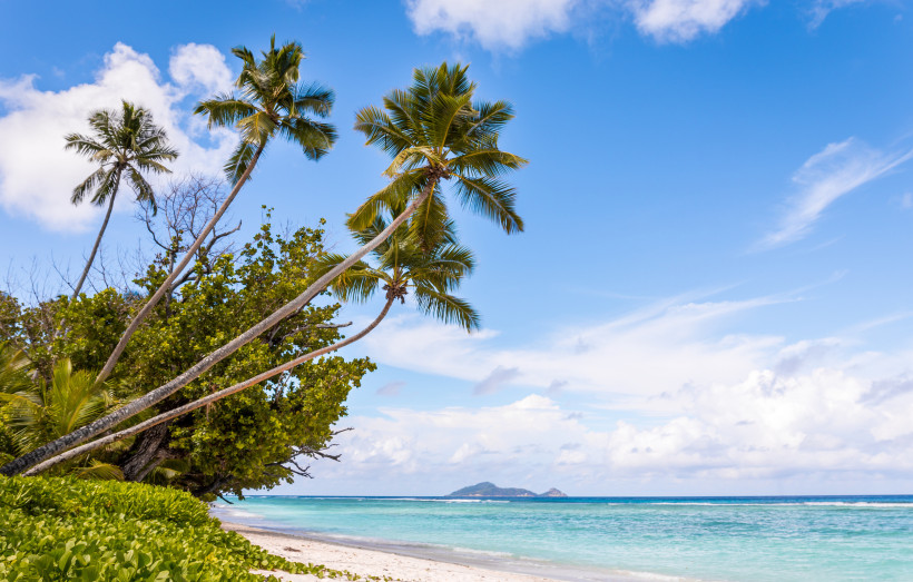 Seychellen - Silhouette Island Silhouette Island Seychellen 2025/2026 – Palmenstrand mit weißem Sand und Blick auf den Indischen Ozean