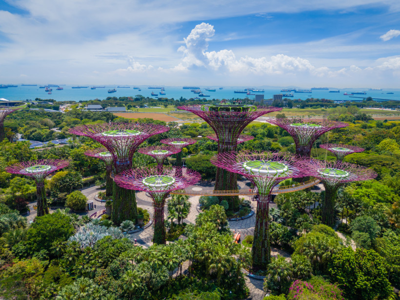 Supertrees im Gardens by the Bay Futuristische Supertrees im Gardens by the Bay in Singapur mit Blick auf das Meer und zahlreiche Schiffe