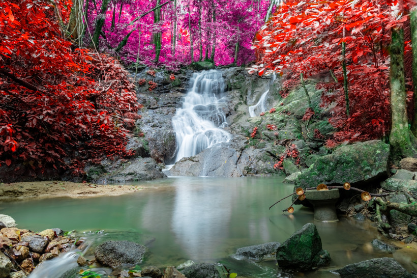 Thailand - Phuket Ein kleiner Wasserfall ( Kathu Wasserfall ) inmitten eines tropischen Waldes auf Phuket. Das Wasser fällt sanft über Felsen in ein ruhiges Becken. Die Umgebung ist farbintensiv – das Laub zeigt leuchtende Rottöne, die dem Bild einen surrealen, fast märche