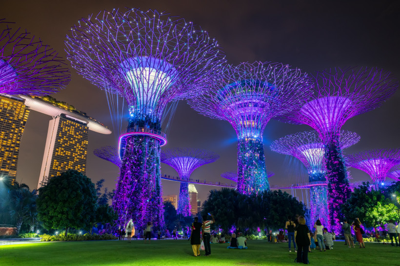 Singapur Futuristische, leuchtende Baumskulpturen im Garden by the Bay in Singapur bei Nacht. Die künstlichen Bäume sind mit lila und blauen Lichtern beleuchtet. Im Hintergrund das markante Marina Bay Sands Hotel.