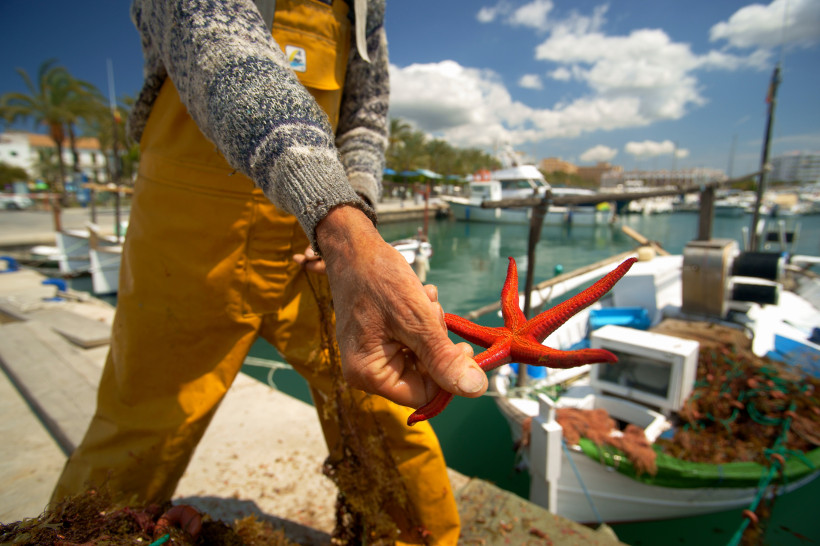 Fischer hält einen roten Seestern im Hafen von Sant Antoni, Boote im Hintergrund