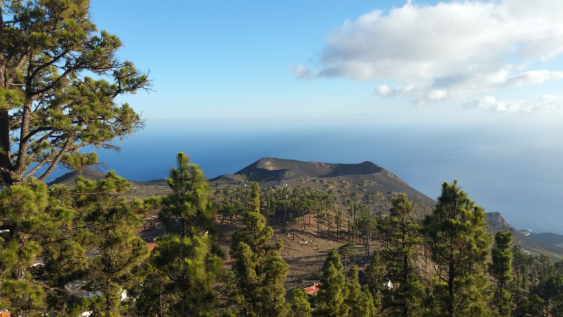 Volcán de Teneguía und Volcán San Antonio auf La Palma, Blick über Kiefernwald zum Atlantik Blick auf die Vulkane Teneguía und San Antonio mit Kiefernwald im Vordergrund und Atlantik im Hintergrund