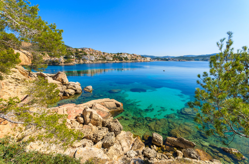 Felsige Küste bei Cala Fornells mit klarem Wasser, Pinien und Blick auf die gegenüberliegende Bucht