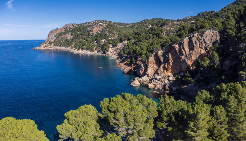 Felsige Bucht bei Punta Rotja mit klarem, blauem Wasser und Pinienbewuchs