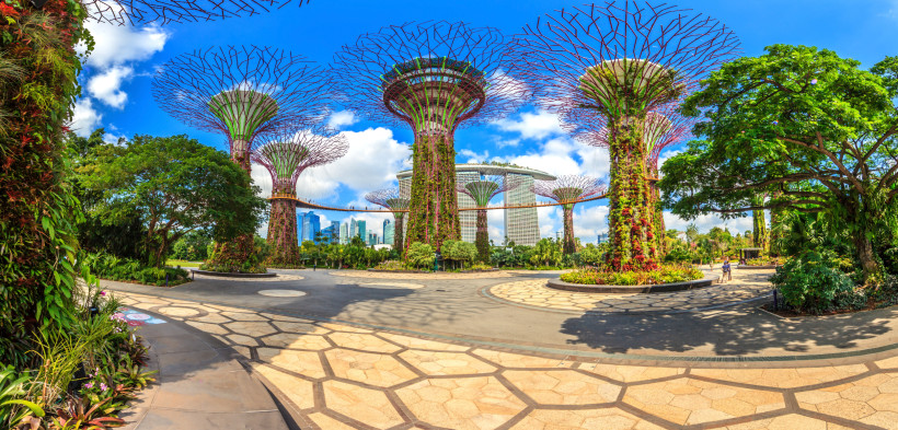 Gardens by the Bay – Supertree Grove in Singapur Die imposanten Supertrees im Gardens by the Bay in Singapur mit Skywalk und modernen Gebäuden im Hintergrund.