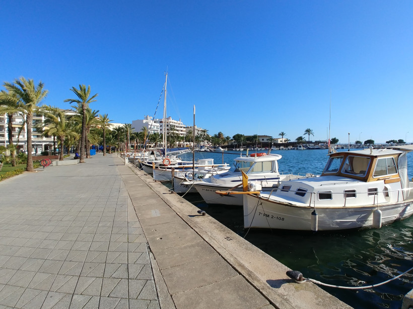 Hafenpromenade in Port d’Alcúdia mit festgemachten Booten und Palmen bei klarem Himmel