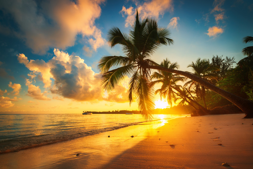 Karibischer Sonnenuntergang über einem Strand mit Palmen und ruhigem Meer
