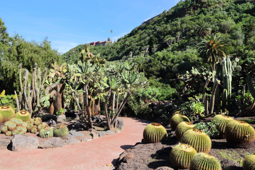 Botanischer Garten Gran Canarias – Jardín Botánico Canario Viera y Clavijo Der Jardín Botánico Canario Viera y Clavijo nahe Santa Brígida ist der größte botanische Garten Spaniens. Zwischen Kakteen, Sukkulenten und endemischen Pflanzen Gran Canarias lässt sich hier die beeindruckende Flora der Kanarischen Inseln inmitten eines g