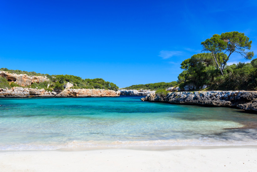 Blick auf die Bucht Cala Sa Nau mit hellem Sandstrand, türkisfarbenem Wasser und felsiger Küste mit Pinien