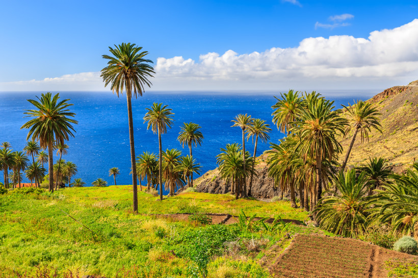 Palmen in der tropischen Landschaft der Insel La Gomera, Spanien. Grünes Tal mit vielen Palmen, Feldern und Blick auf das tiefblaue Meer unter blauem Himmel mit einigen Wolken