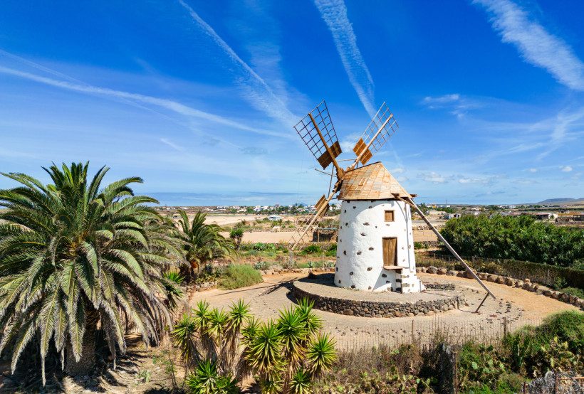 Traditionelle Windmühle auf Fuerteventura, umgeben von Palmen und karger Landschaft unter blauem Himmel