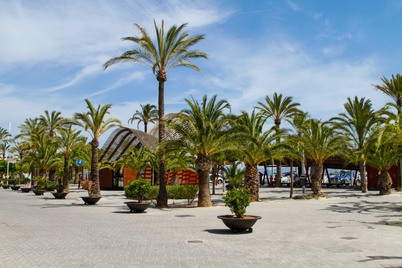 Gepflasterte Hafenpromenade in Port d'Alcudia mit Palmen, Sitzbereichen und überdachten Strukturen nahe dem Yachthafen