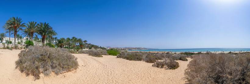 Sandstrand von Costa Calma mit Dünenvegetation, Palmen und Blick auf das Meer