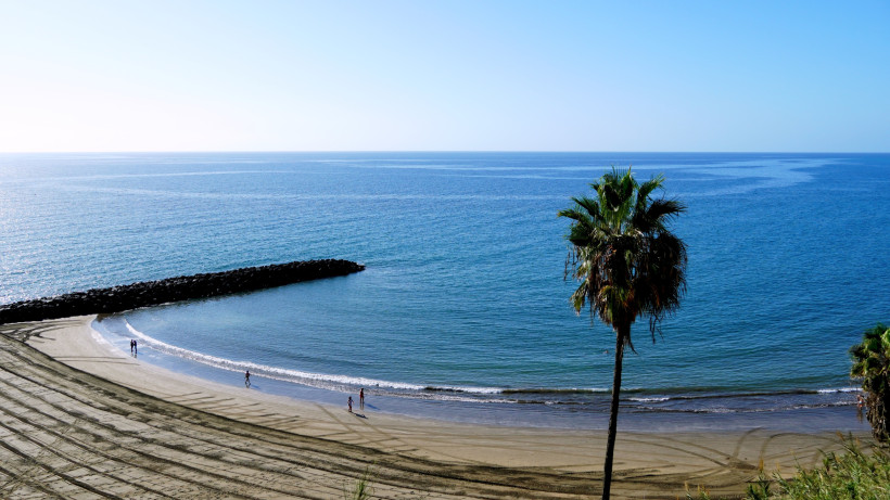 Strand Las Burras bei San Agustín auf Gran Canaria mit Palmbaum im Vordergrund und ruhigem Meer