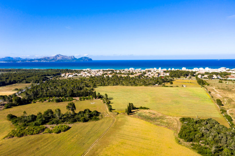 Blick über Felder und Pinien auf Can Picafort und die Küste der Bucht von Alcúdia