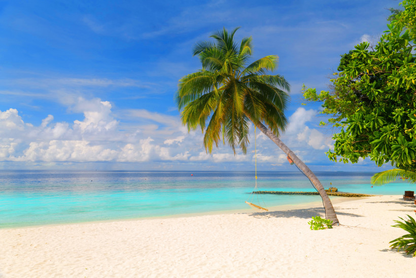 Sandstrand mit schräg wachsender Palme und Schaukel am türkisfarbenen Meer im Baa-Atoll, Malediven