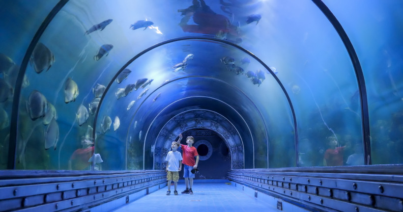 Kinder im Unterwassertunnel eines Aquariums mit Fischen über und neben ihnen