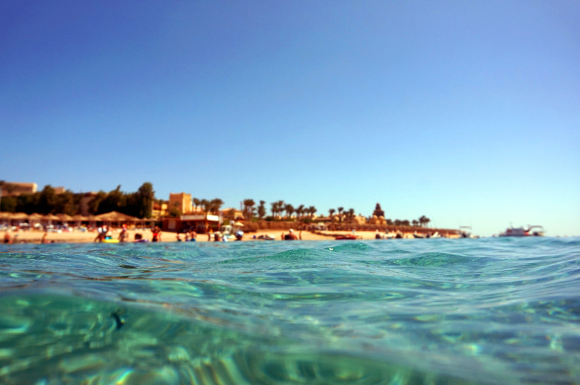 Blick aus dem Wasser auf einen belebten Sandstrand am Roten Meer mit Palmen und klarem blauem Himmel