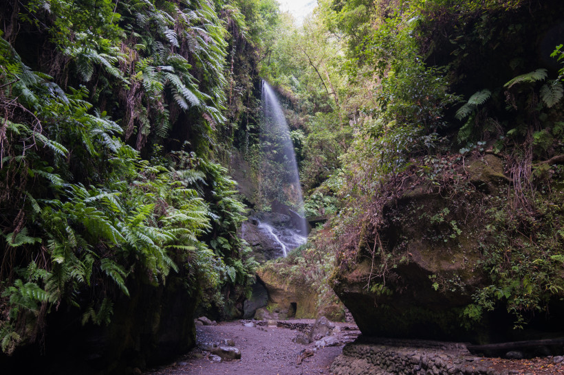 Wasserfall im Bosque de Los Tilos Wasserfall in einer bewachsenen Schlucht im Bosque de Los Tilos