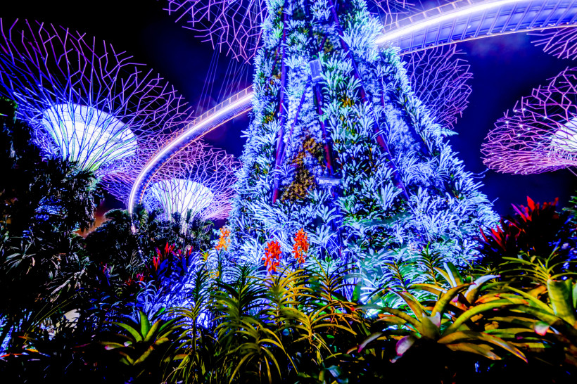 Singapur Weihnachtsmarkt im Gardens by the Bay in Singapur. Die berühmten Supertrees sind in grünem Licht dekoriert, im Zentrum steht eine hohe, kunstvoll beleuchtete Konstruktion in Form eines Turms mit bunten Mustern. Im Vordergrund sind Besucher:innen und weihn