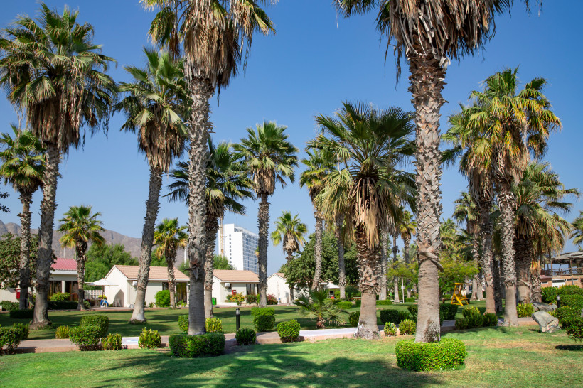 Fujairah, UAE Park mit hohen Palmen im Sandy Beach Hotel and Resort am Golf