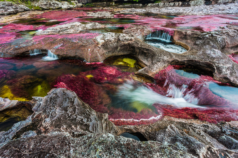 cano cristales kolumbien
