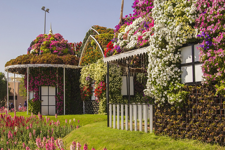 miracle garden dubai