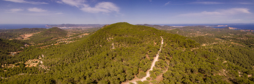 Sa Talaia: bewaldeter Berg mit Gipfelmasten und Schotterstraße Blick auf den bewaldeten Berg Sa Talaia mit Funkmasten am Gipfel und einer Schotterstraße am Hang