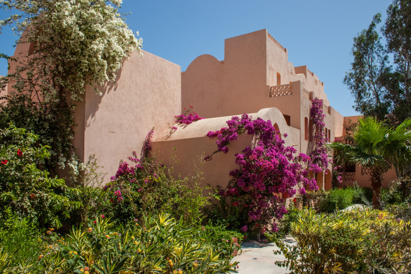 Hotelanlage mit blühenden Bougainvillea in Ägypten Traditionelle Hotelgebäude in Ägypten, umrankt von farbenfrohen Bougainvillea und umgeben von üppigem Grün