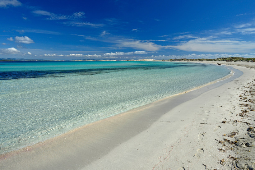 Blick auf den Sandstrand Platja de Ses Illetes mit flachem, türkisfarbenem Wasser auf Formentera