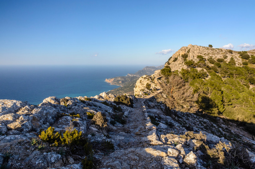 Mallorca - Cami de s´Escolta Das Bild zeigt einen felsigen Wanderweg, der sich in Serpentinen über einen Berghang zieht. Der Weg ist schmal und von unregelmäßig geformten, grauen Felsen umgeben. Rechts davon wachsen grüne, windgepeitschte Bäume und Sträucher. Im Hintergrund erstreckt