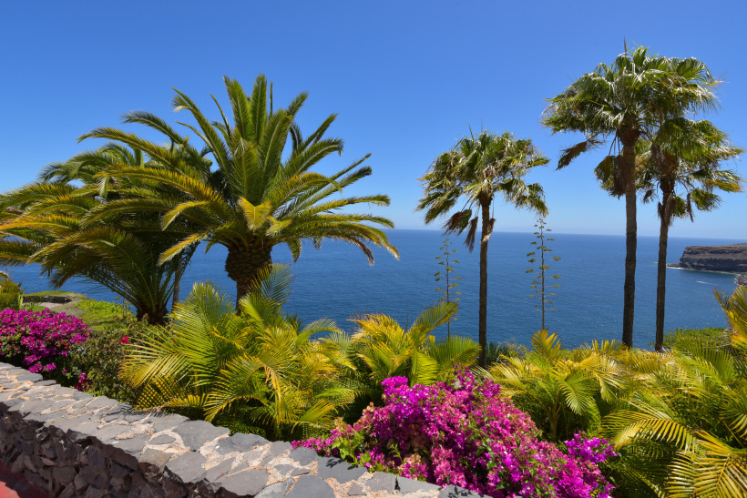Entspannter Urlaub auf Gran Canaria – Palmen, Blumenpracht und Meerblick Tropischer Garten mit Palmen und bunten Blumen mit Blick auf den Atlantik auf Gran Canaria