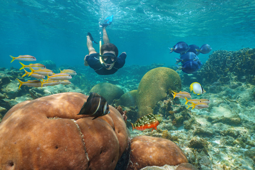 aktive Badeferien, Mexiko Schnorchler in einem tropischen Korallenriff, umgeben von bunten Fischen und großen Korallenblöcken unter klarem, blauem Wasser